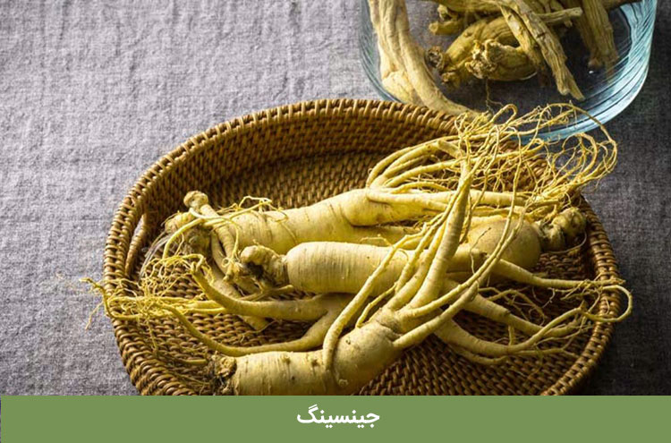 همه چیز در باره جینسینگ چیست؟ خواص شگفت انگیز آن