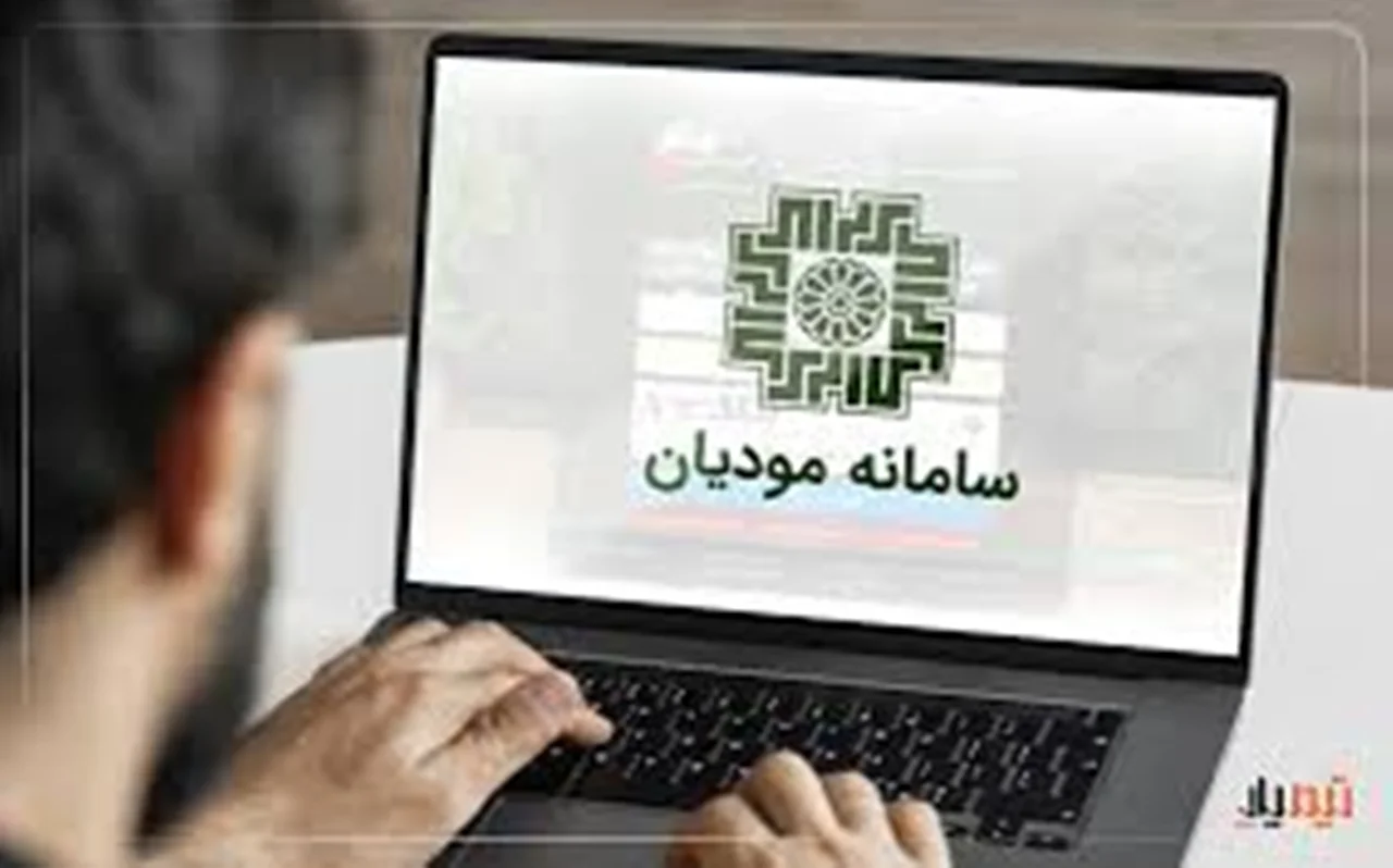 نرم افزار سامانه مودیان و فروش